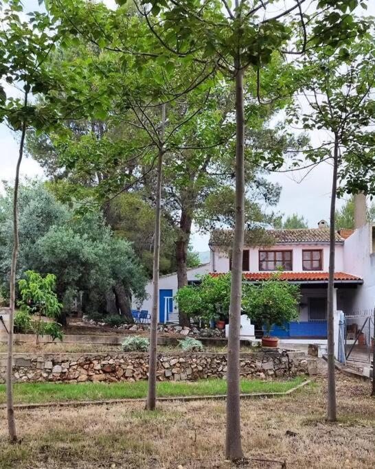 La Caseta De Rotova - Casa Rural Para Desconectar Buitenkant foto