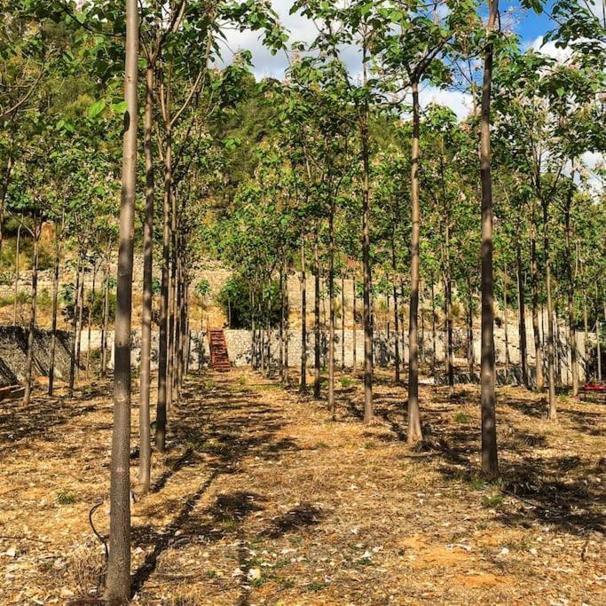 La Caseta De Rotova - Casa Rural Para Desconectar Buitenkant foto