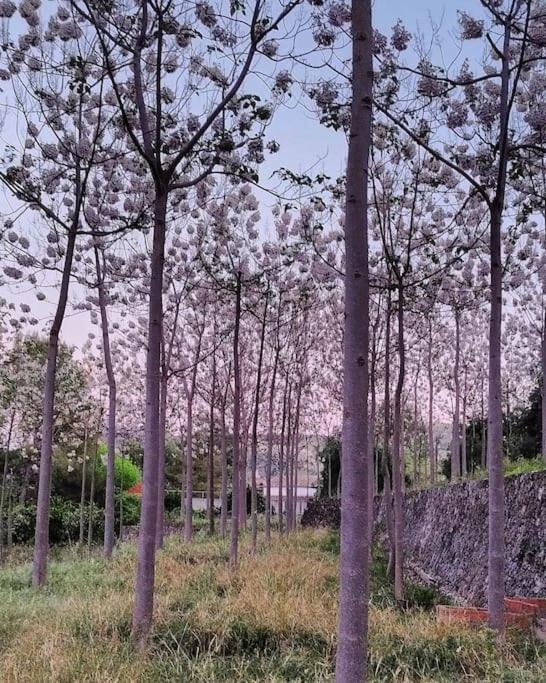 La Caseta De Rotova - Casa Rural Para Desconectar Buitenkant foto